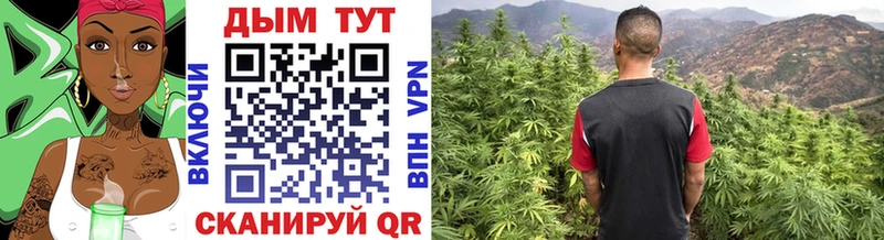Как найти наркотики Богданович Кокаин  АМФЕТАМИН  A-PVP  ГАШ  Меф мяу мяу  МАРИХУАНА 