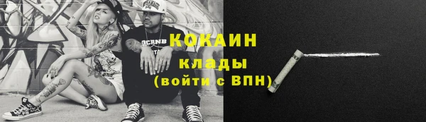 прущий лед Богданович