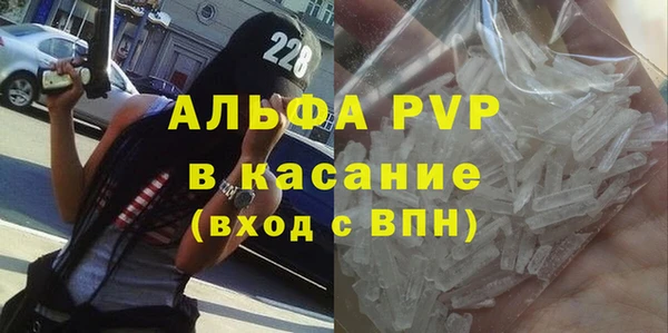 прущий лед Богданович