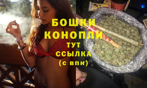 сатива Белокуриха
